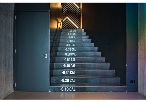 How To Create A Luxuriously Cozy Fitness Room In Your Home