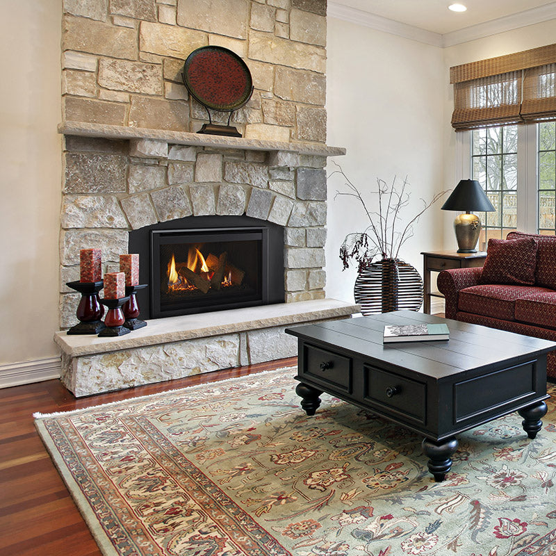 Majestic Ruby Series 25" Direct Vent Liquid Propane Insert - RUBY25IL