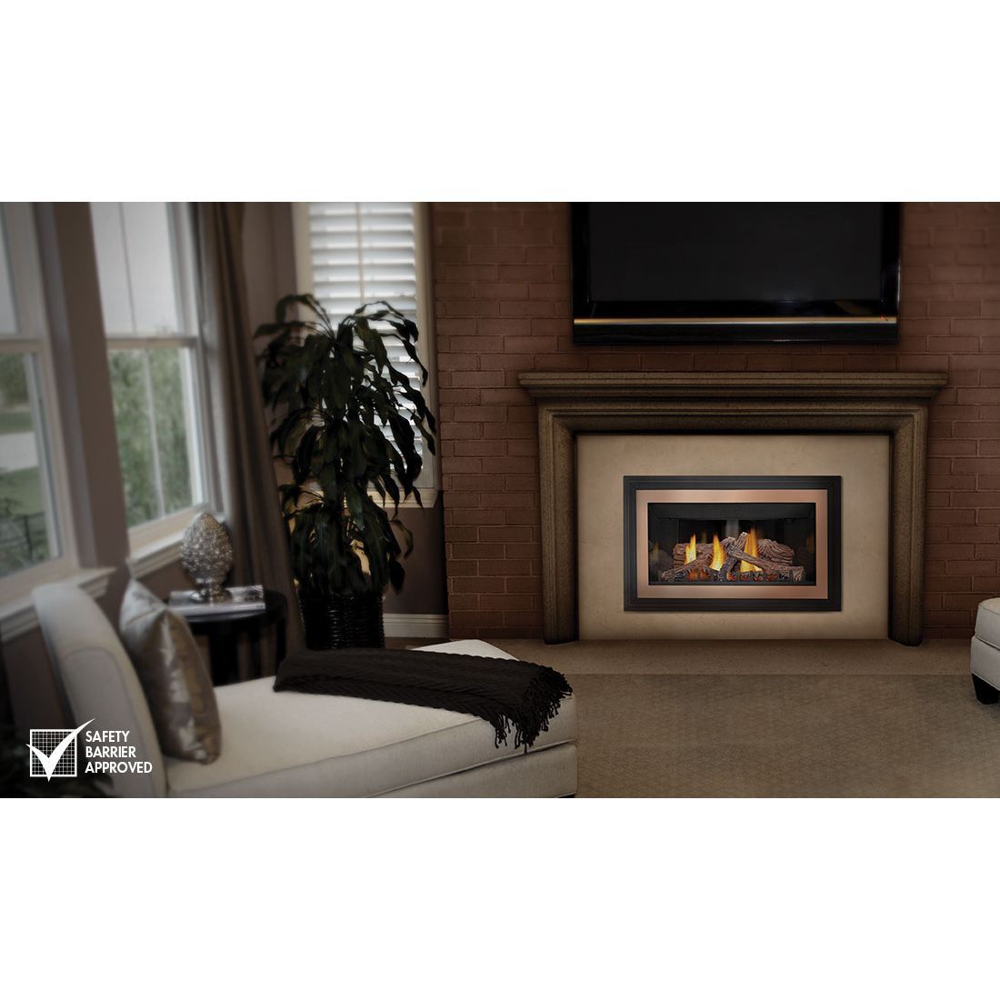 Napoleon Inspiration GDIZC | Direct Vent Gas Burning Insert