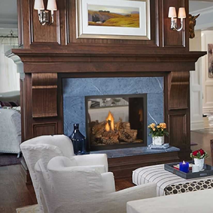 Napoleon High Definition HD81 | Direct Vent Gas Burning Fireplace | See-Thru