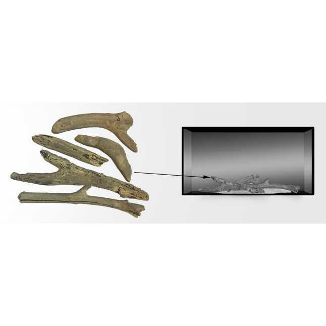 Majestic Driftwood Log Set | Jade 32 / 42