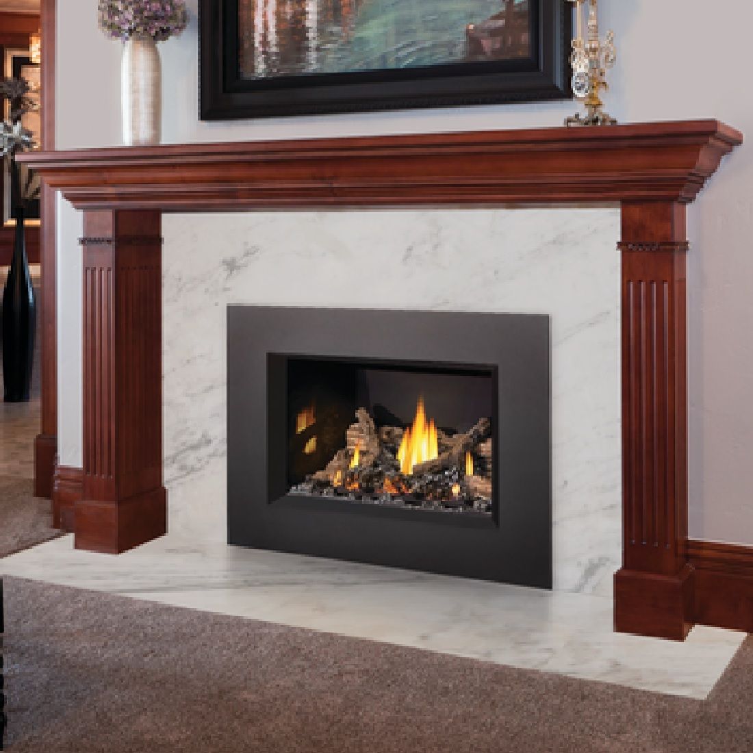 Napoleon Oakville GDIX3N-1 | Direct Vent Gas Burning Insert