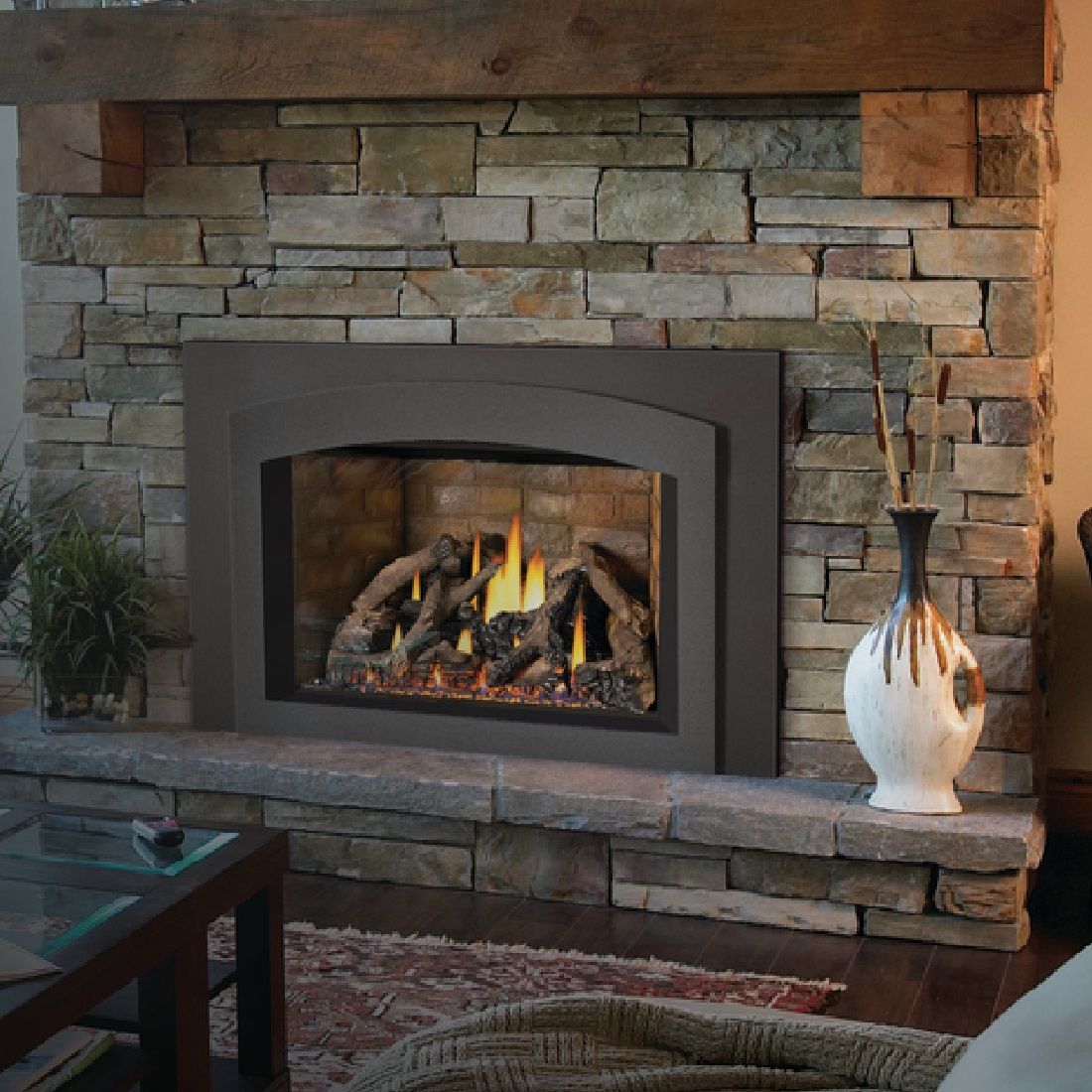 Napoleon Oakville GDIX4N-1 | Direct Vent Gas Burning Insert