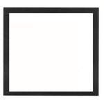NAPFTAX36BK | Napoleon AX36 Finishing Trim | 36
