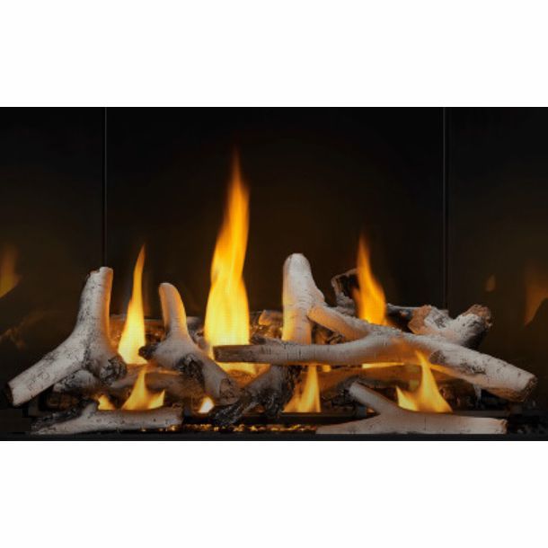 Napoleon AX42 Logset | Birch