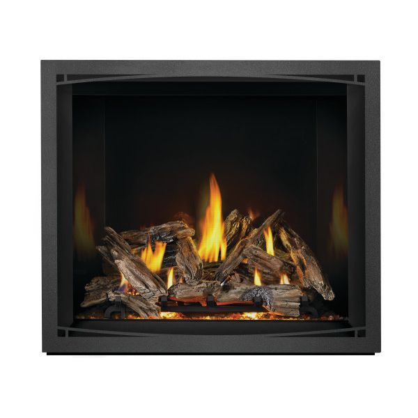 Napoleon Elevation EX42 | Direct Vent Gas Burning Fireplace | Lp