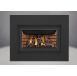 Napoleon Inspiration GDIZC | Direct Vent Gas Burning Insert