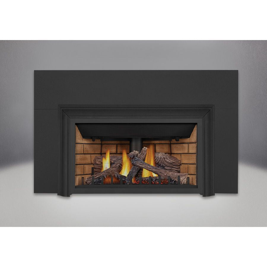 Napoleon Inspiration GDIZC | Direct Vent Gas Burning Insert