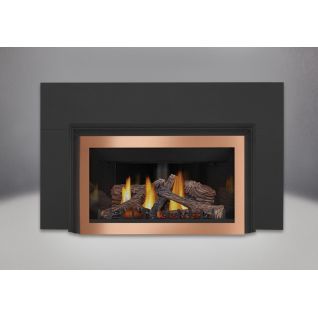 Napoleon Inspiration GDIZC | Direct Vent Gas Burning Insert