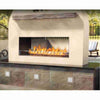 Napoleon Galaxy GSS48STE | Outdoor Gas Burning Fireplace | Stainless Steel | See Thru