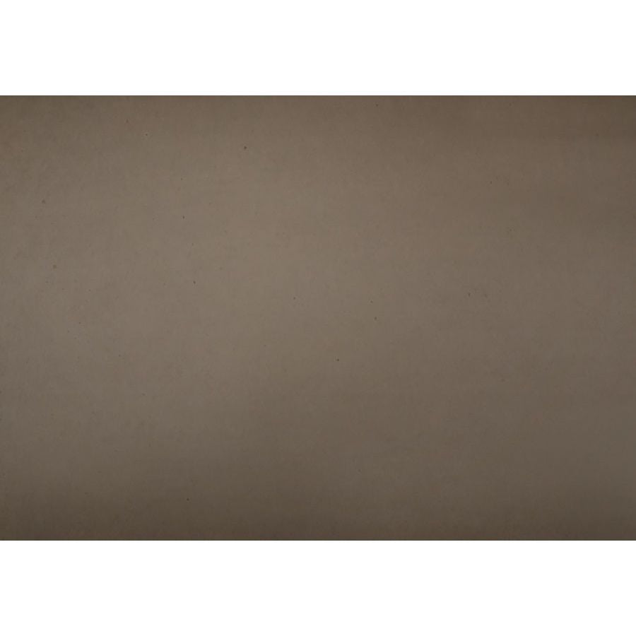 Napoleon High Country NZ5000T | Wood Burning Fireplace