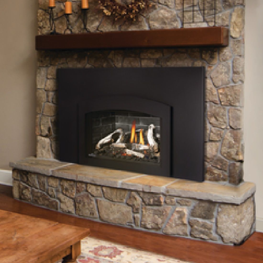 Napoleon Oakville GDIX3N-1 | Direct Vent Gas Burning Insert