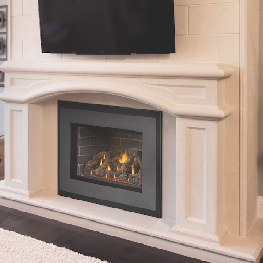 Napoleon Oakville GDIX4N-1 | Direct Vent Gas Burning Insert