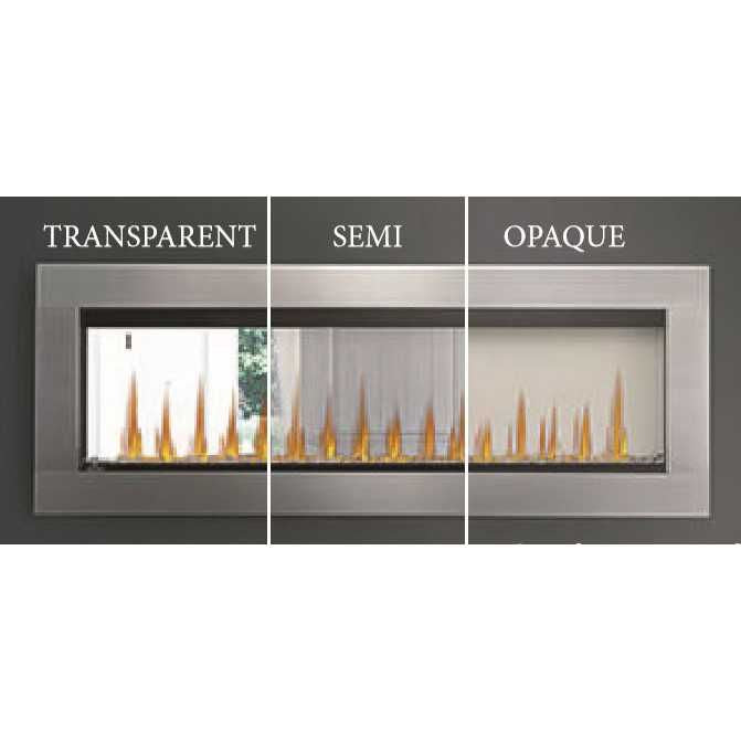 Napoleon CLEARion Elite NEFBD50HE | Electric Fireplace | See-Thru