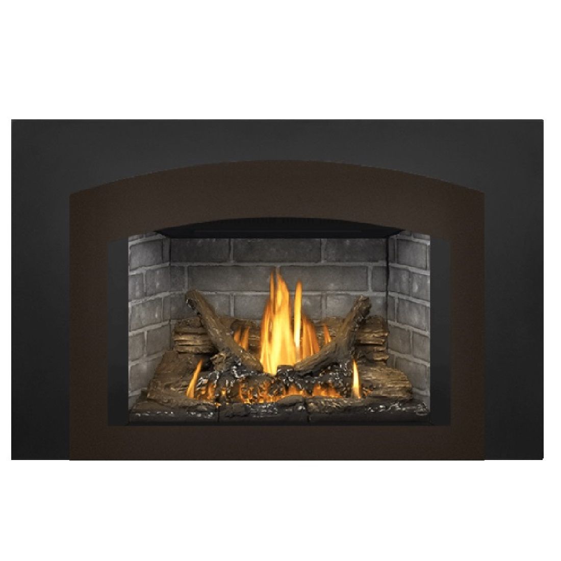 Napoleon Oakville GDI3NE-1 | Direct Vent Gas Burning Insert | Log Set