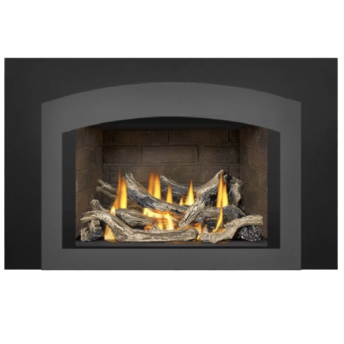 Napoleon Oakville GDIX3N-1 | Direct Vent Gas Burning Insert