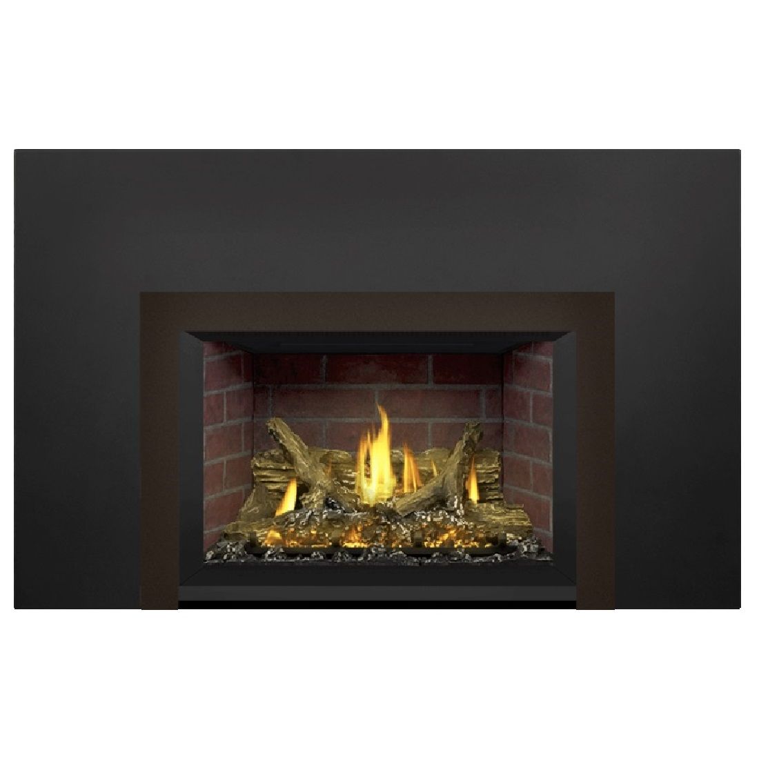 Napoleon Oakville GDIX3N-1 | Direct Vent Gas Burning Insert