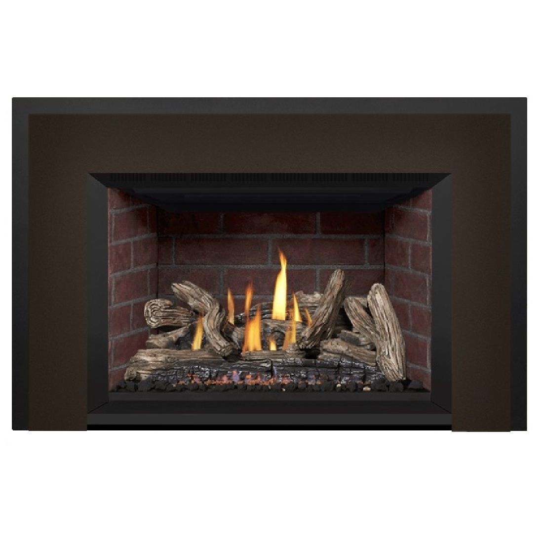 Napoleon Oakville GDIX4N-1 | Direct Vent Gas Burning Insert