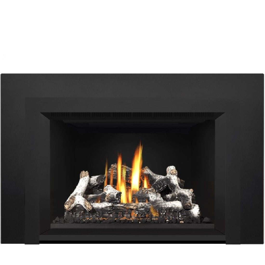 Napoleon Oakville GDIX4N-1 | Direct Vent Gas Burning Insert