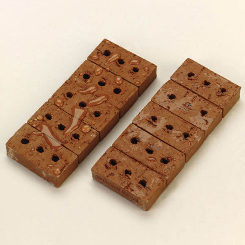 ChimneySaver Sample Demonstration Bricks (Set Of 10)-300206