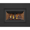 Napoleon INSPIRATION ZC Direct Vent Millivolt Ignition Natural Gas Fireplace Insert