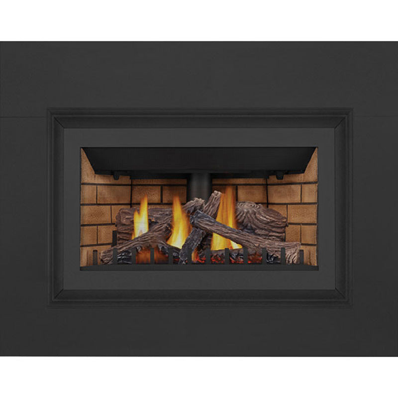Napoleon INSPIRATION ZC Direct Vent Millivolt Ignition Natural Gas Fireplace Insert