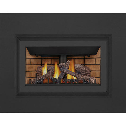 Napoleon INSPIRATION ZC Direct Vent Millivolt Ignition Natural Gas Fireplace Insert