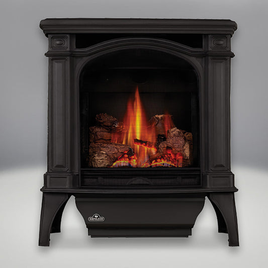 Napoleon Bayfield 25 Direct Vent Electronic Ignition Natural Gas Cast Iron Stove-GDS25NA-1