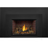 Napoleon OAKVILLE 3 Direct Vent Natural Gas Fireplace Insert