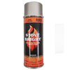 Stove Bright 6265 | Stove Paint | Silver