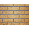 NAPGDS819KT | Napoleon Decorative Brick Panels | Sandstone | GS60 series