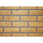 NAPGDS819KT | Napoleon Decorative Brick Panels | Sandstone | GS60 series