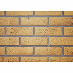 NAPGD840KT | Napoleon GSS42CF Decorative brick panels | Sandstone