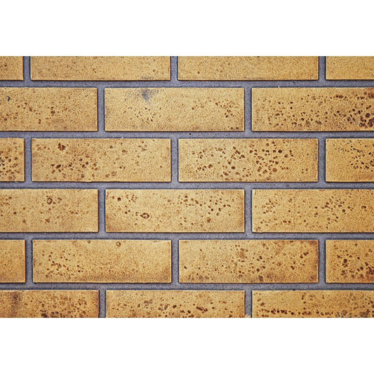 NAPGD874KT | Napoleon HD81L Decorative Brick Panels | Sandstone Stacked