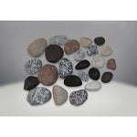 NAPMRKS | Napoleon Mineral Rock Kit | 36 Multi-Color Rocks