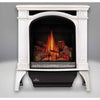 Napoleon Bayfield GDS25 | Gas Burning Stove | Cast Iron | Winter Frost