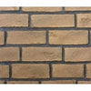Outdoor Lifestyles Brick Refractory | Traditional | Fortress