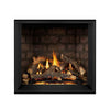 Napoleon Elevation EX36 | Direct Vent Gas Burning Fireplace | Ng