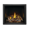 Napoleon Elevation EX42 | Direct Vent Gas Burning Fireplace | Lp