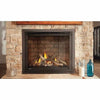 Napoleon Altitude AX42 | Direct Vent Gas Burning Fireplace | Lp
