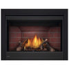 Napoleon Ascent BX42 | Direct Vent Gas Burning Fireplace | Ng