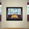 Napoleon High Definition HD81 | Direct Vent Gas Burning Fireplace | See-Thru
