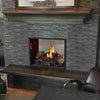 Napoleon High Definition HD81 | Direct Vent Gas Burning Fireplace | See-Thru