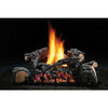 Highland Glow Vent-Free Liquid Propane Log Set with Variable Flame Height Control